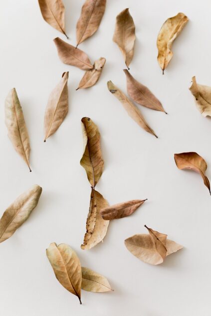 attachment-61de0a12b9970d5afb2bb3fa