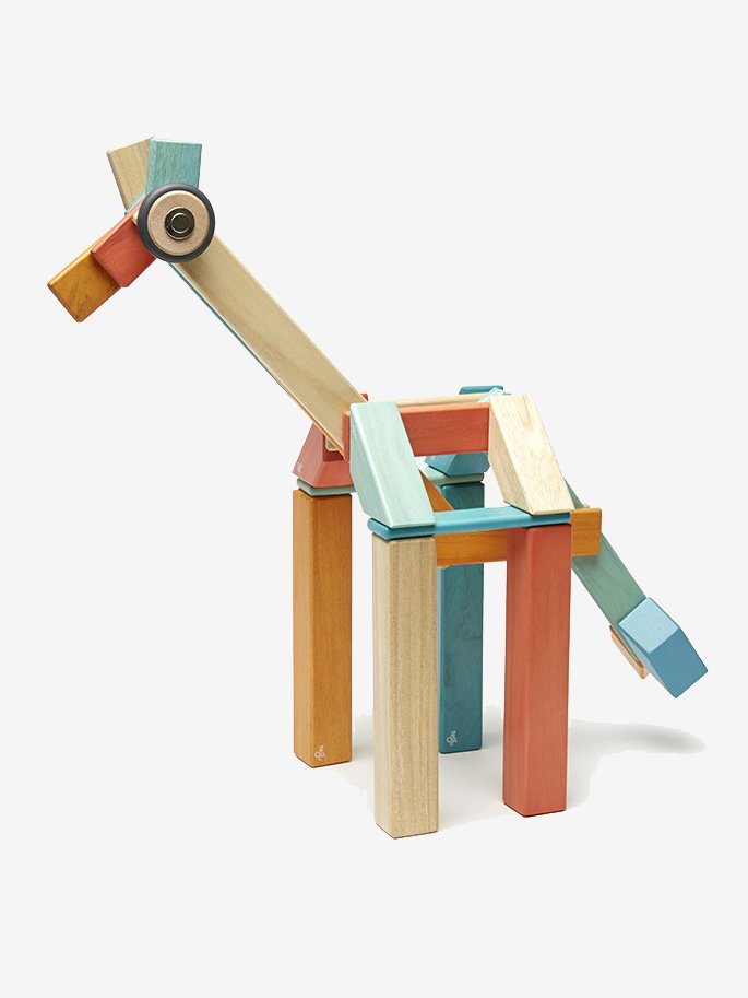 3. Tegu.jpg