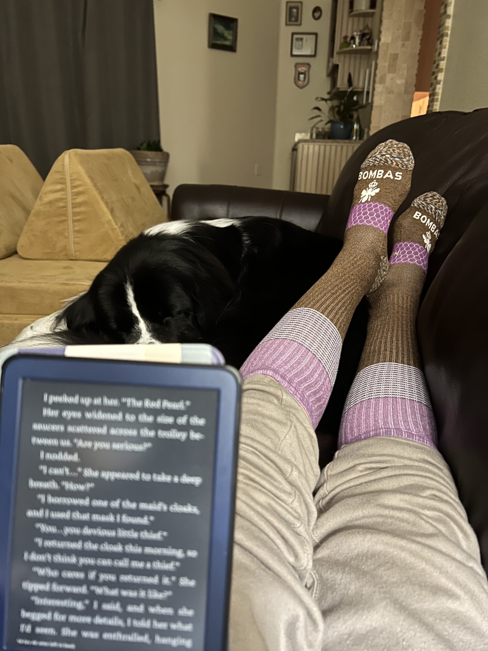 Bombas compression socks
