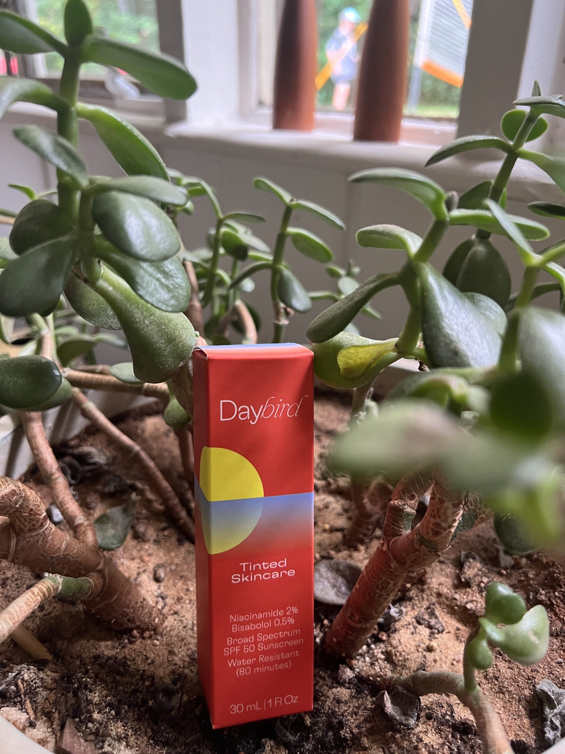 daybird-review