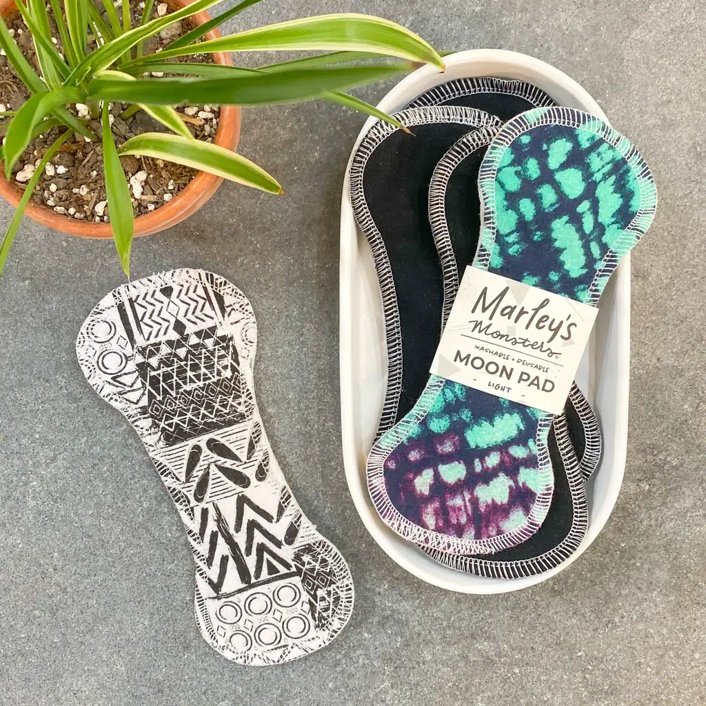 Moon Pads sitting in a container on a table next to a plant.