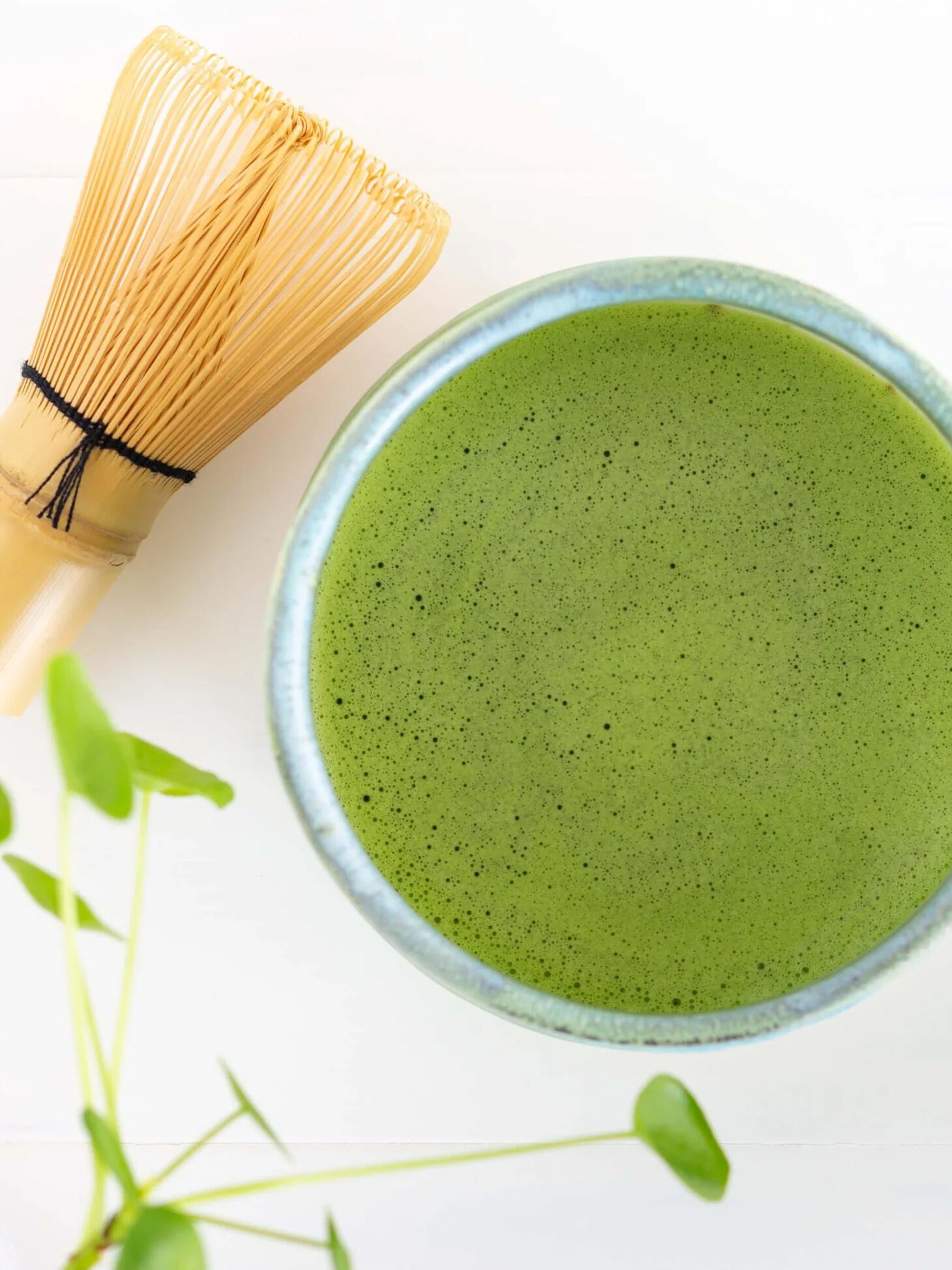 Matcha tea from Sugimoto Tea