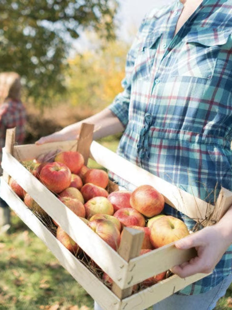 Person holding a wooden crate filled with red apples. Another person in the background picking apples from a tree.