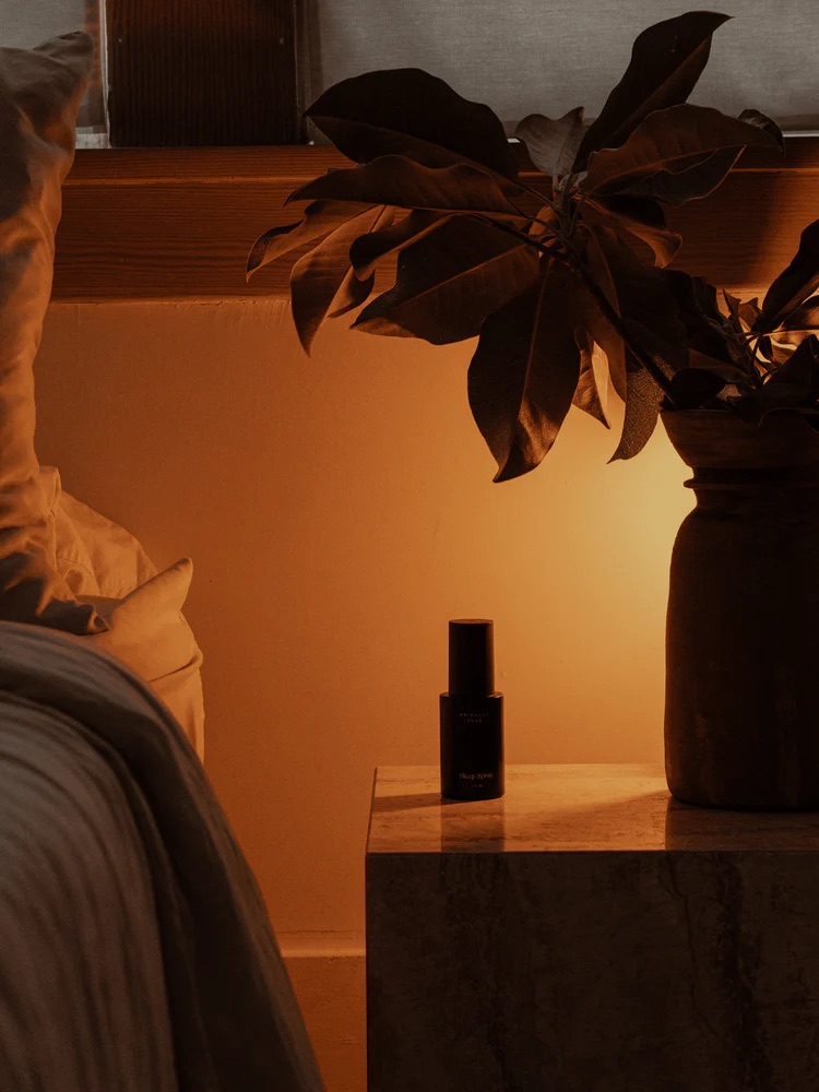 A dimly lit bedroom scene with a bed, nightstand, a dark bottle, and a large plant in a vase, illuminated by warm ambient light.