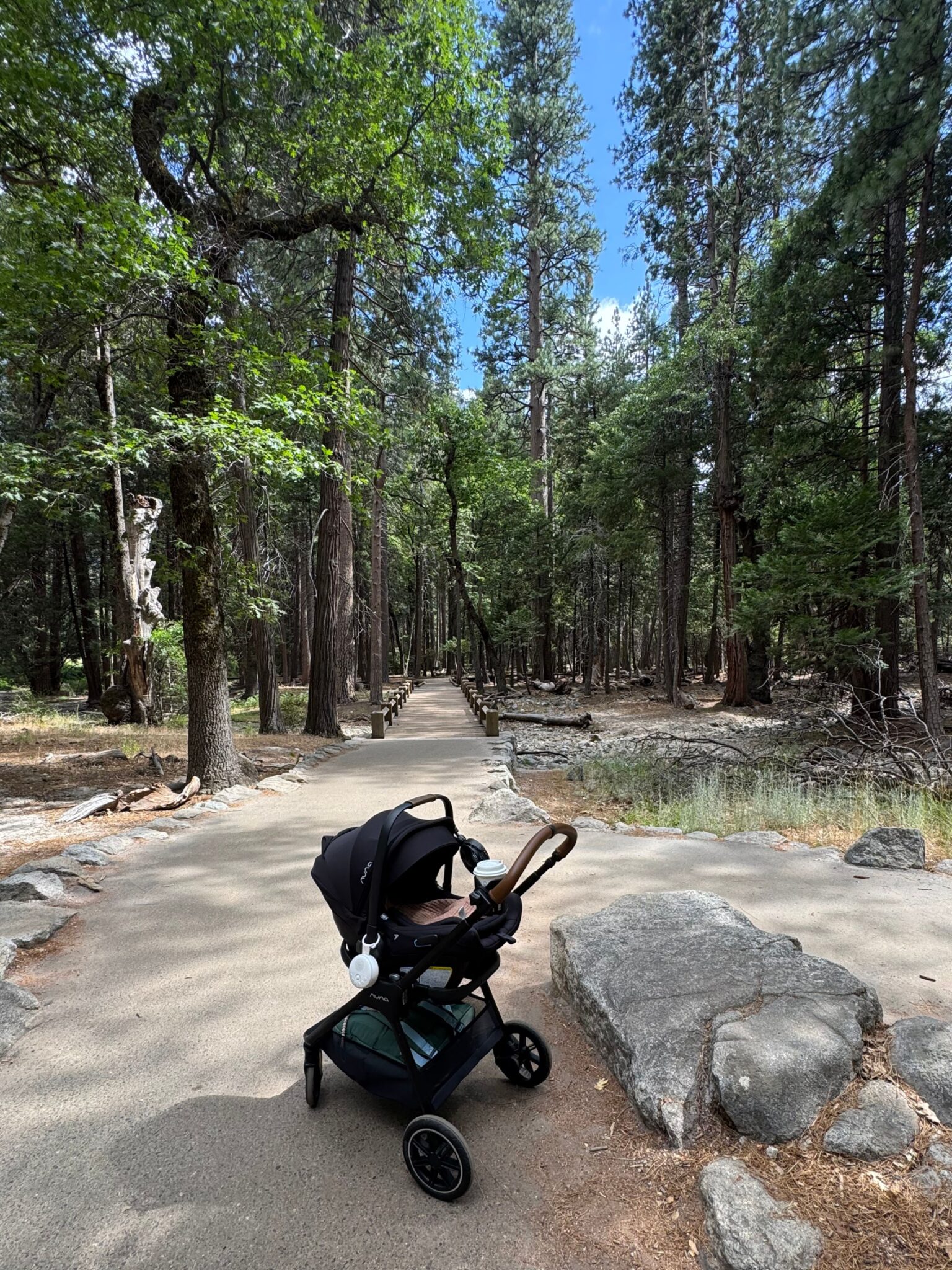 A stroller is parked on a paved path surrounded by tall trees and rocks in a forested area under a partly cloudy sky.